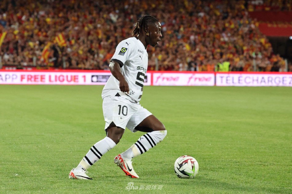 肉的活跃运 肉的活跃运