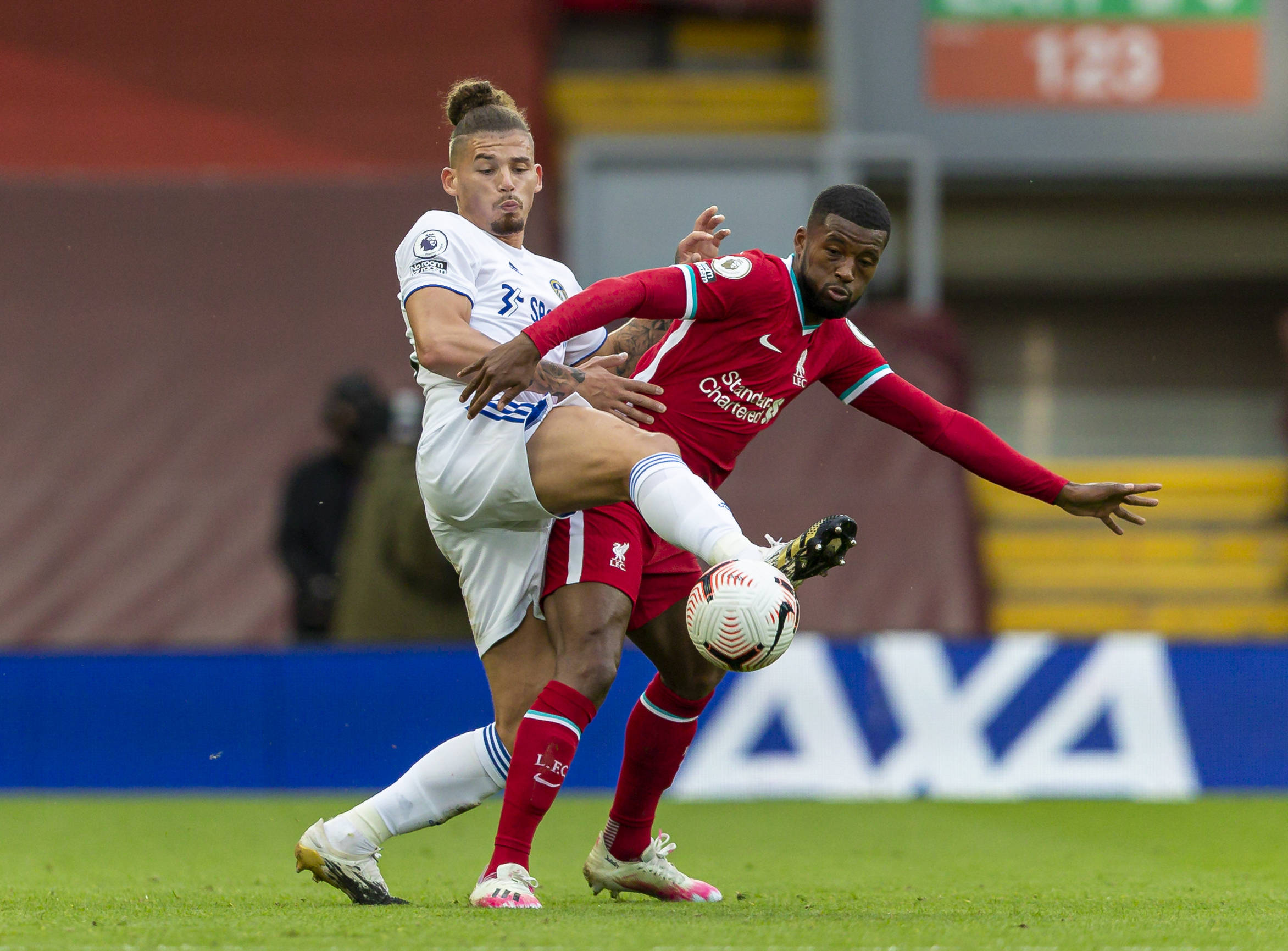 本赛季他们 本赛季他们